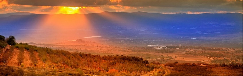 CIRCUIT EN TERRE SAINTE