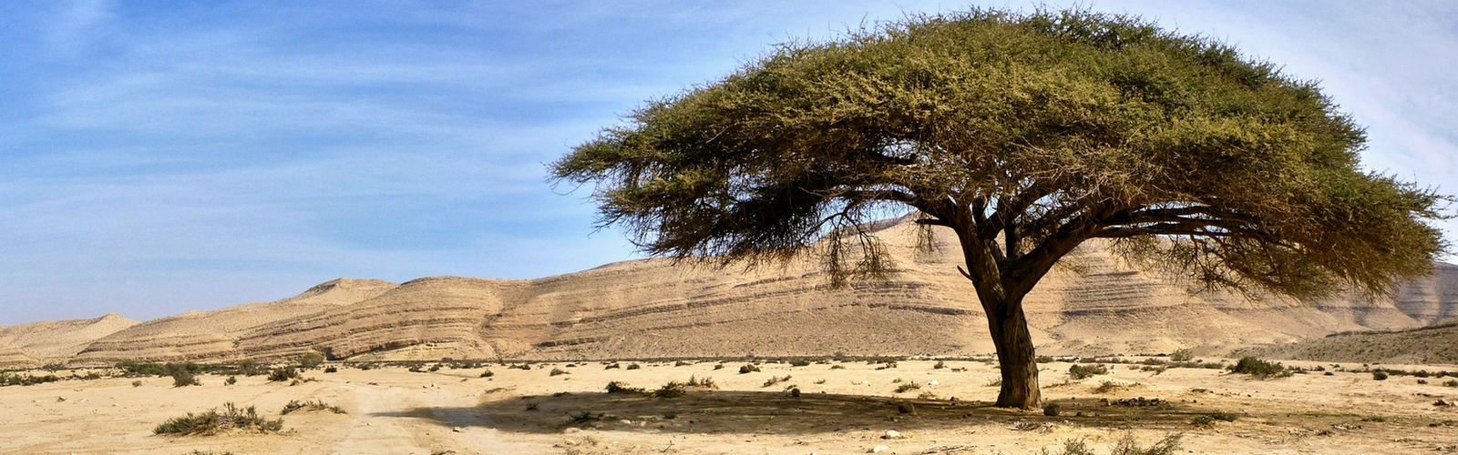 jeremiah tours Israel