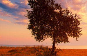 circuit rencontre habitants Israel